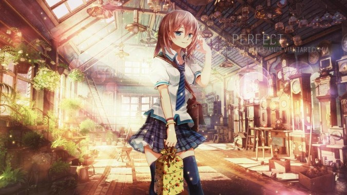 国内为什么那么多人黑 WordPress ？